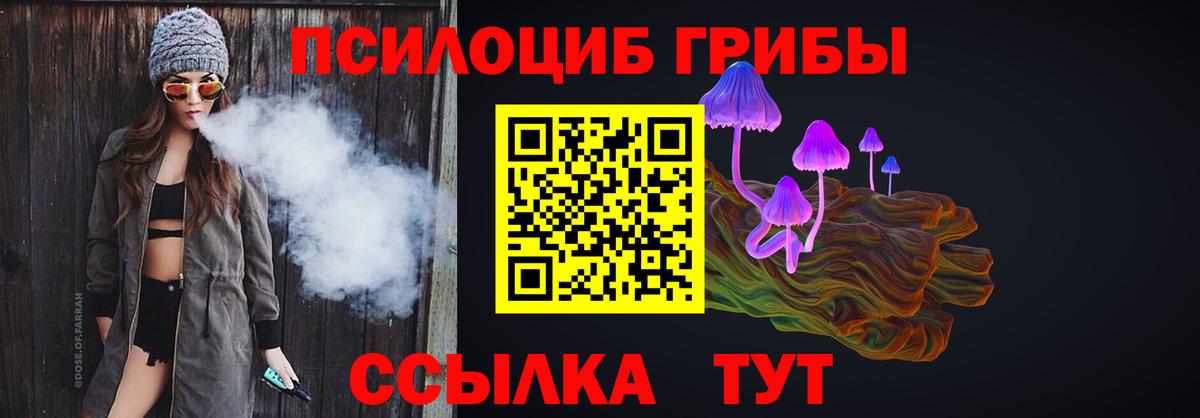 Псилоцибиновые грибы Psilocybe Сочи